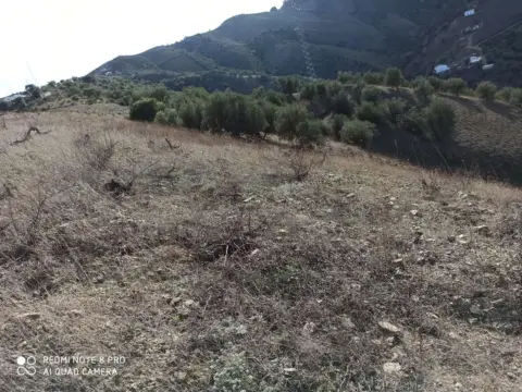 Terreno en Almáchar