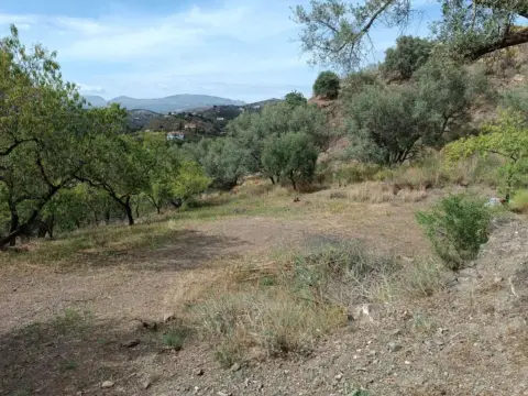 Terreno en Canillas de Aceituno
