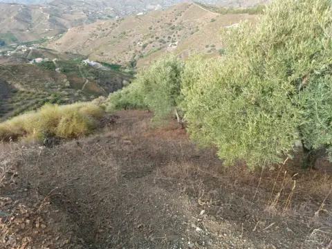 Terreno en Almáchar