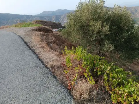 Terreno en Almáchar