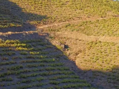 Terreno en Almáchar