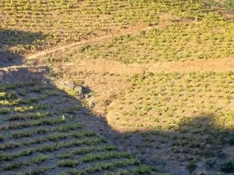 Terreno en Almáchar