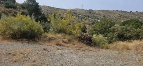 Terreno en Alcaucín