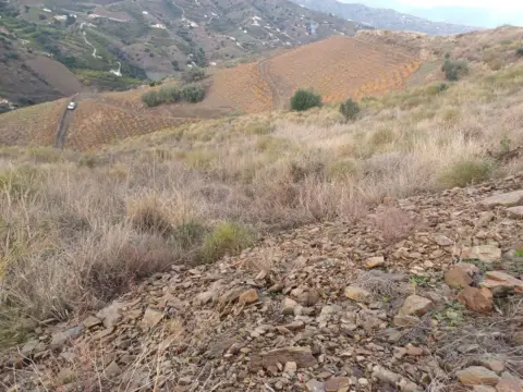 Terreno en Almáchar