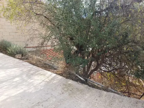 Terreno en Almáchar