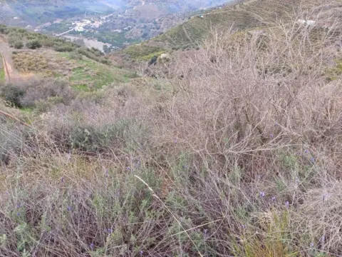 Terreno en Benamargosa