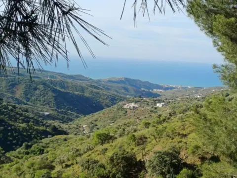 Terreno en Moclinejo