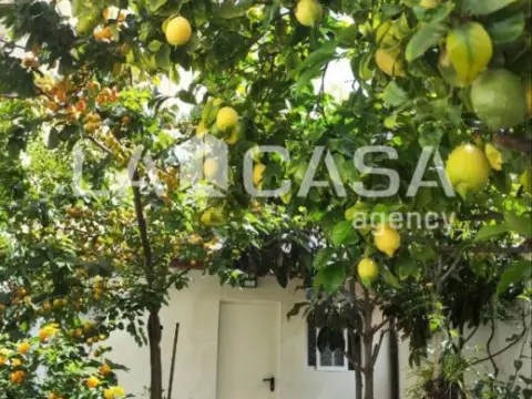 Casa en Carrer de Don Pelayo