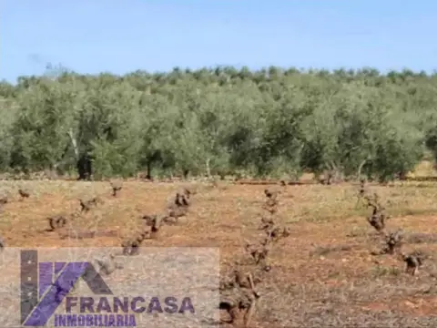 Finca rústica en Paraje Valduro