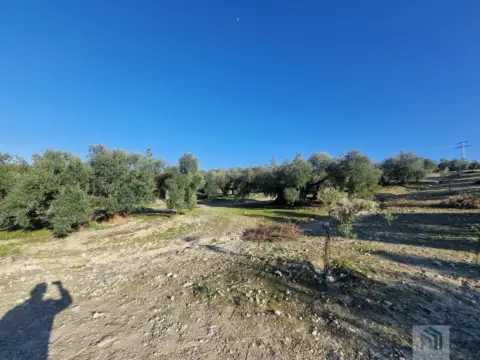 Finca rústica en Pago La Rojana