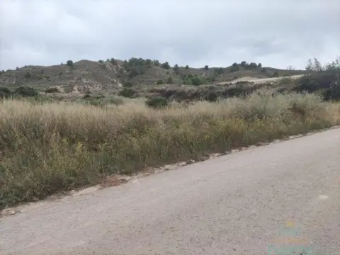 Terreno en Zona los Secanos