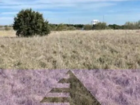 Finca rústica en calle Camino de los Pinos, nº Poligono 2