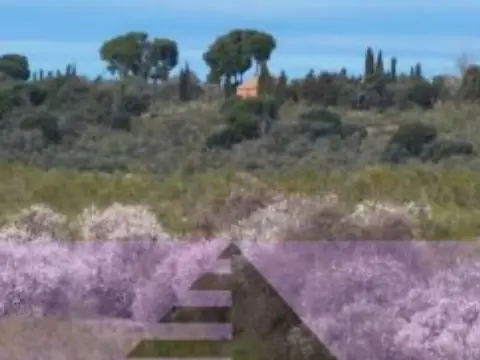 Finca rústica en calle Camino de los Pinos, nº Poligono 2