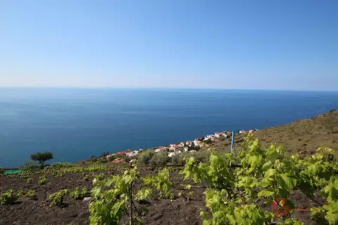 Finca rústica en Alfamar