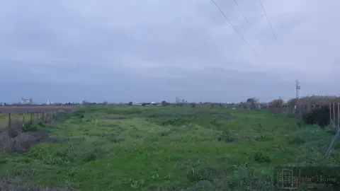 Finca rústica en Guadalcacín