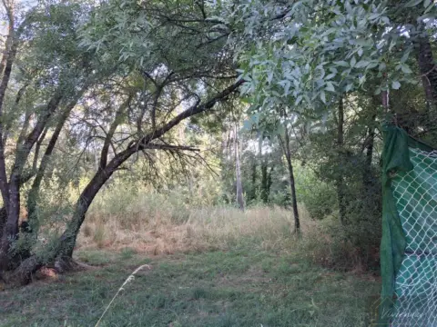 Finca rústica en Bustaviejo