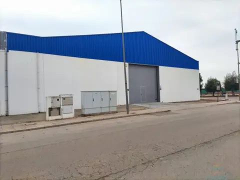 Nave comercial en Polígono Industrial El Saladar