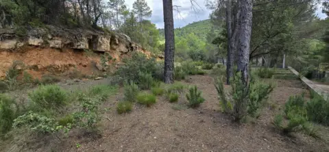 Terreno en Valdenaya