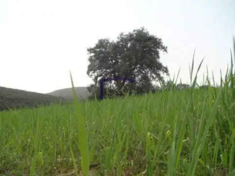 Finca rústica en Torrenueva