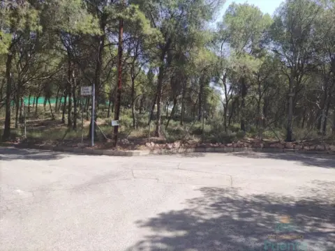 Terreno en Urbanización La Charca