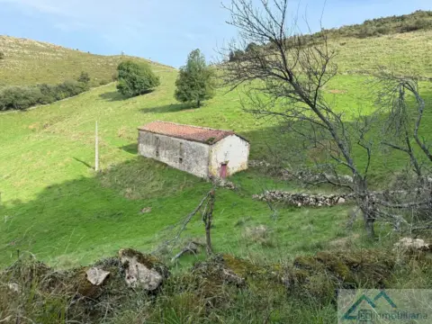Casa en calle Hornedo