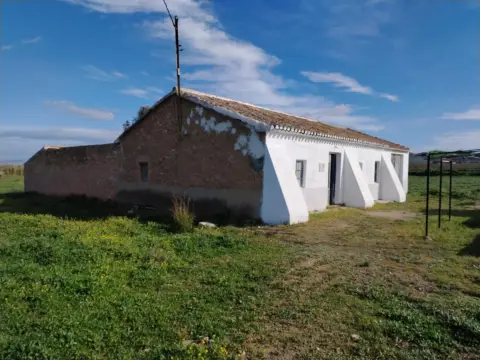 Finca rústica en Fuente Alamo El Albujon