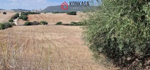 Finca rústica en Carretera Arcos-Algar