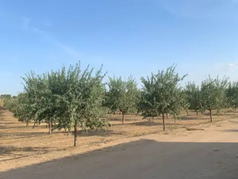 Finca rústica en San Andres