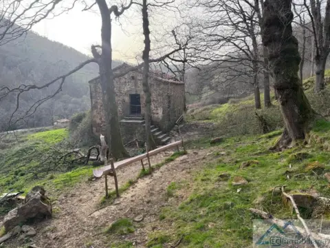 Casa en calle Trasnoval