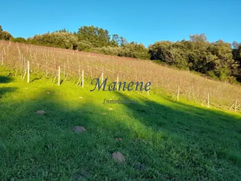 Finca rústica en Larrabetzu