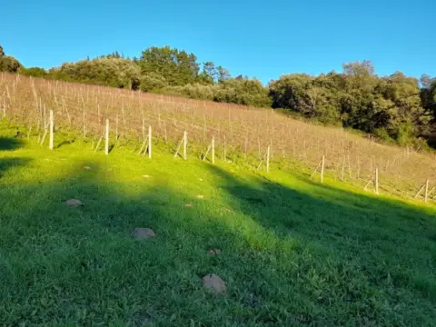 Finca rústica en Larrabetzu