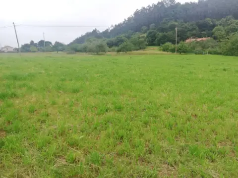 Terreno en Camoca