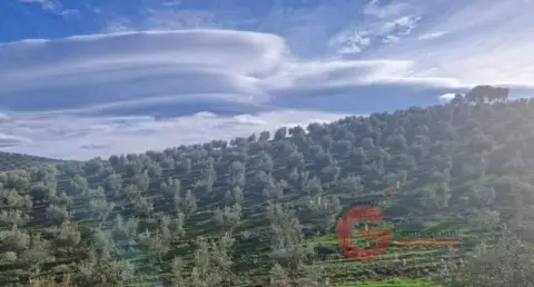 Finca rústica en Castril