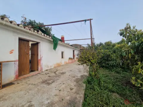 Finca rústica en Cortijo Cano