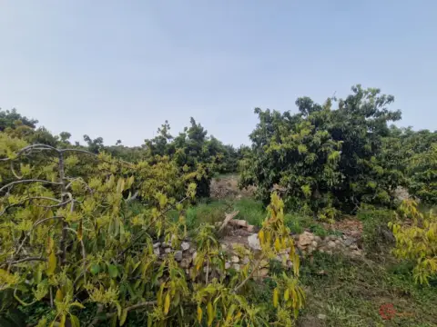 Finca rústica en Cortijo Cano