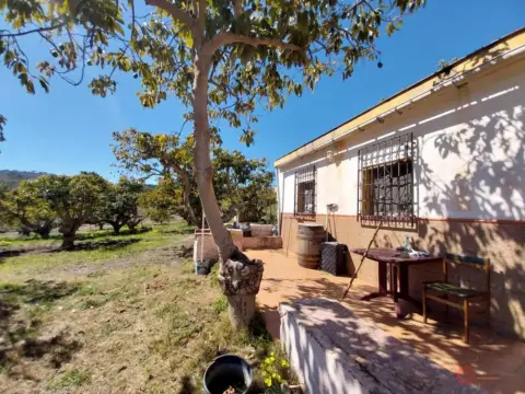 Finca rústica en Los Palmares