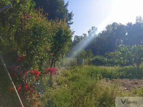 Finca rústica en Carretera Villamartin-Bornos