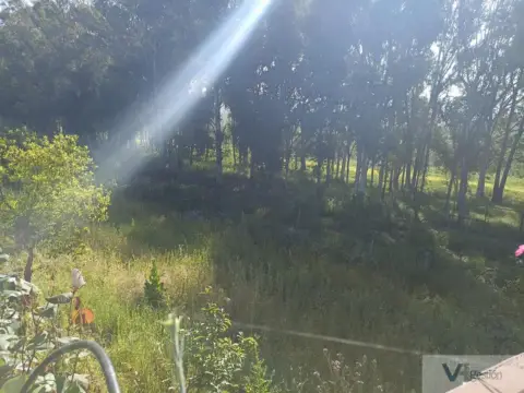 Finca rústica en Carretera Villamartin-Bornos