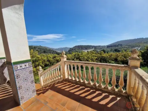 Finca rústica en Los Palmares