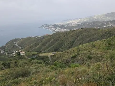 Finca rústica en Alfamar Alto