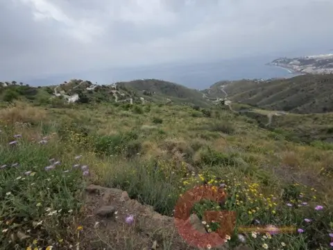 Finca rústica en Alfamar Alto