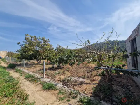 Finca rústica en Los Palmares
