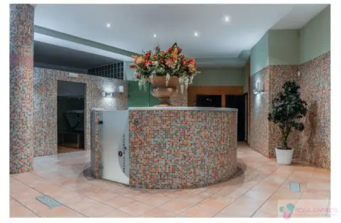 Local comercial en San Pedro Centro Pueblo