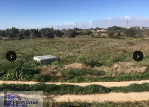 Finca rústica en Entre Pinoso y Hellin