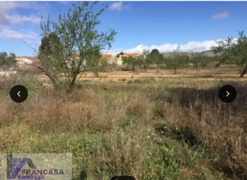 Finca rústica en Entre Pinoso y Hellin