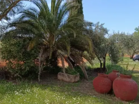 Finca rústica en Extrarradios