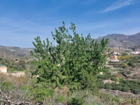 Finca rústica en Paraje Mercader