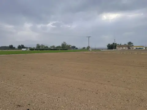 Terreno en Camino de la Bodega