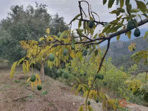 Finca rústica en Guajar Alto