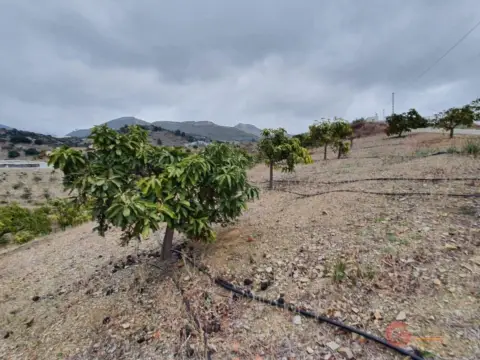 Finca rústica en Vega Baja